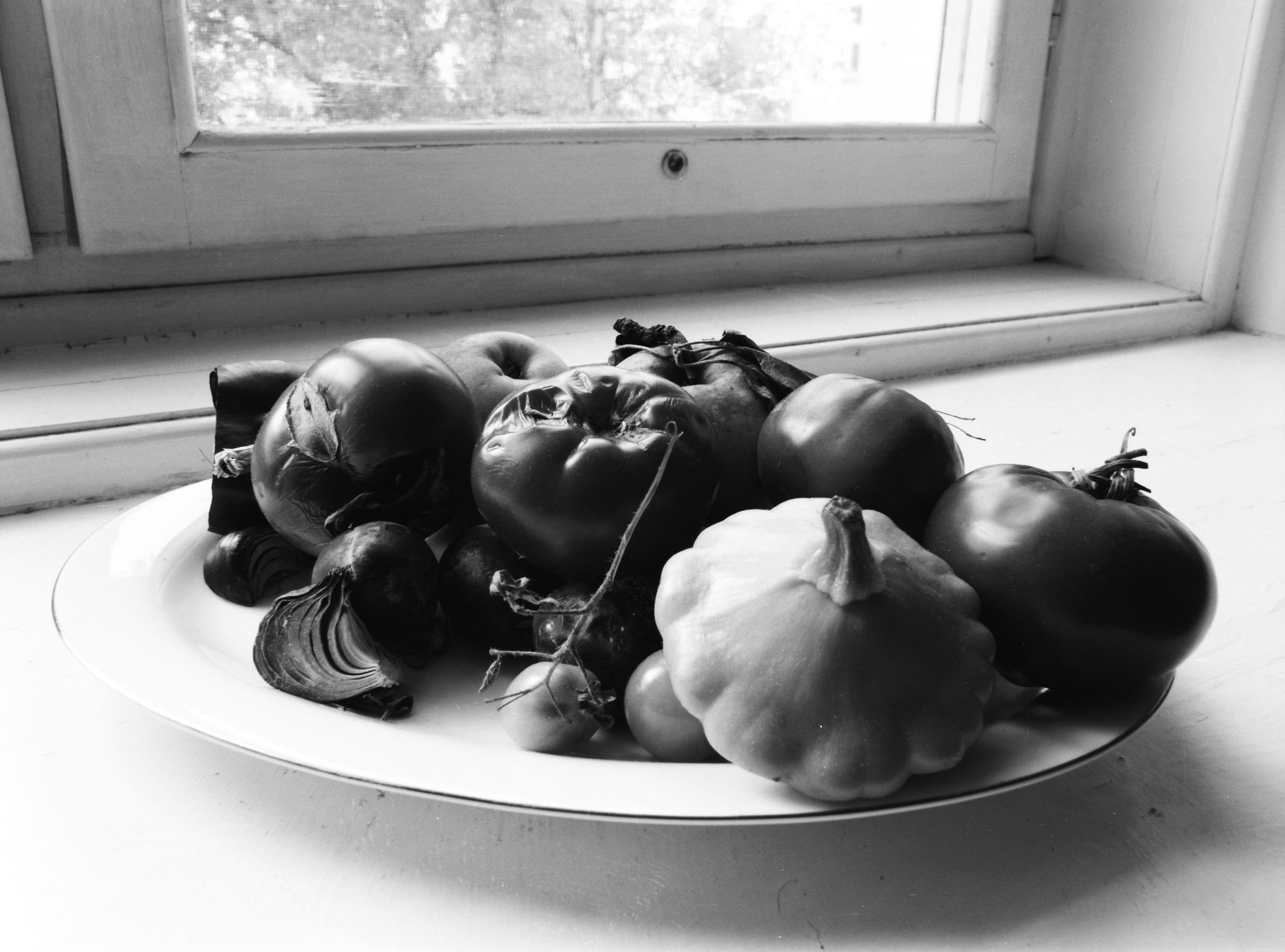 PRINTS. Daria Blinova