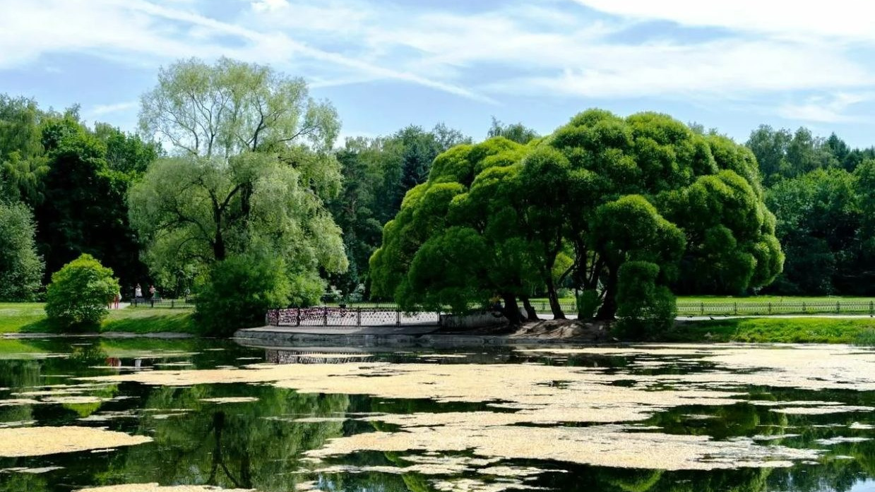 Локации на открытом воздухе. Винтажные фотосессии в Москве