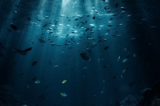 Прайс. Психолог Светлана Анисимова