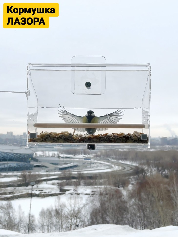 Съемка птиц на кормушке. Кормушки для птиц на окно Чирик-Чирик
