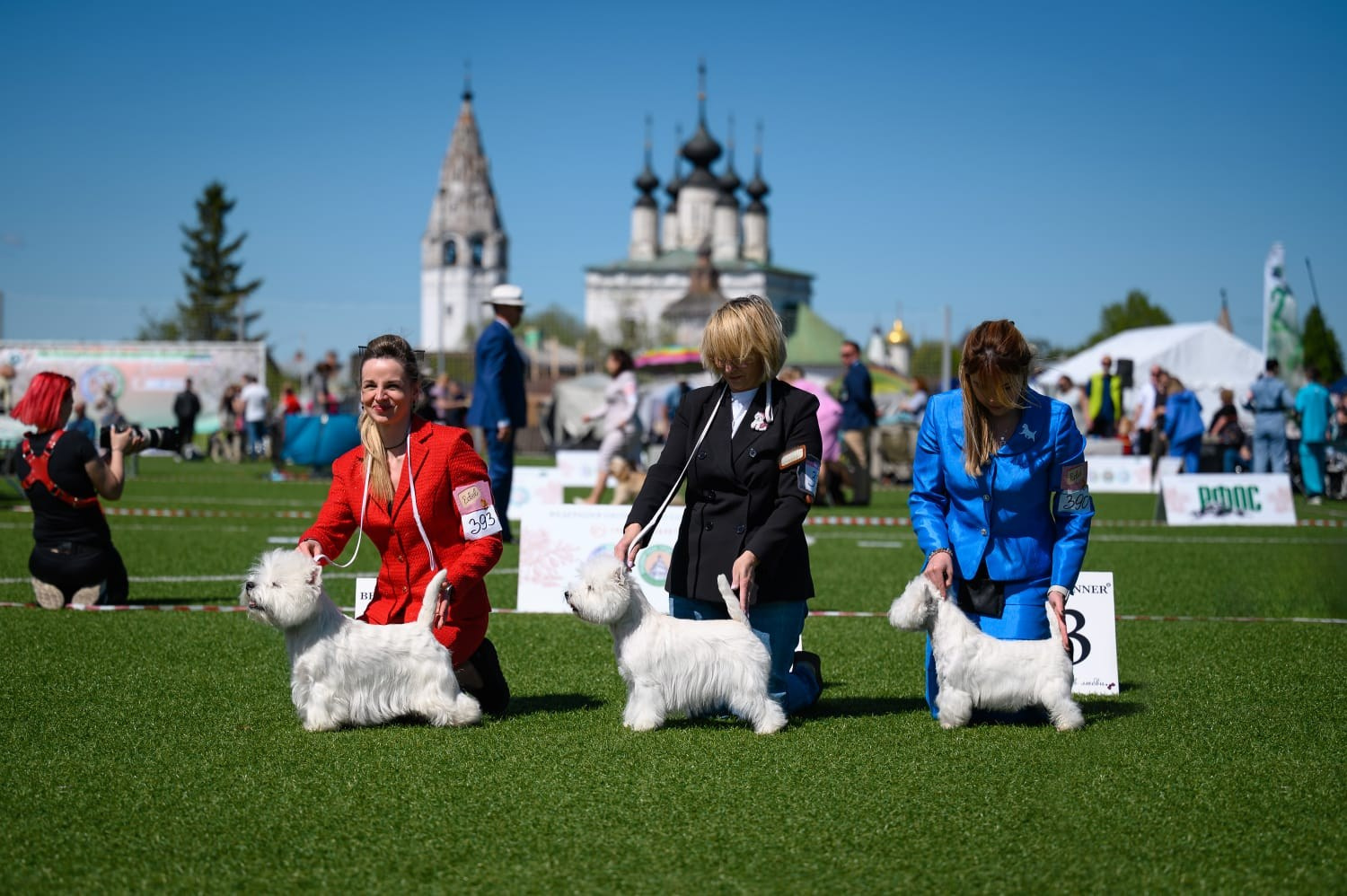 Две рейтинговые выставки в Суздале " Гран-При Золотого кольца», проводимые РФОС. Питомник собак породы вест хайленд вайт терьер в Москве