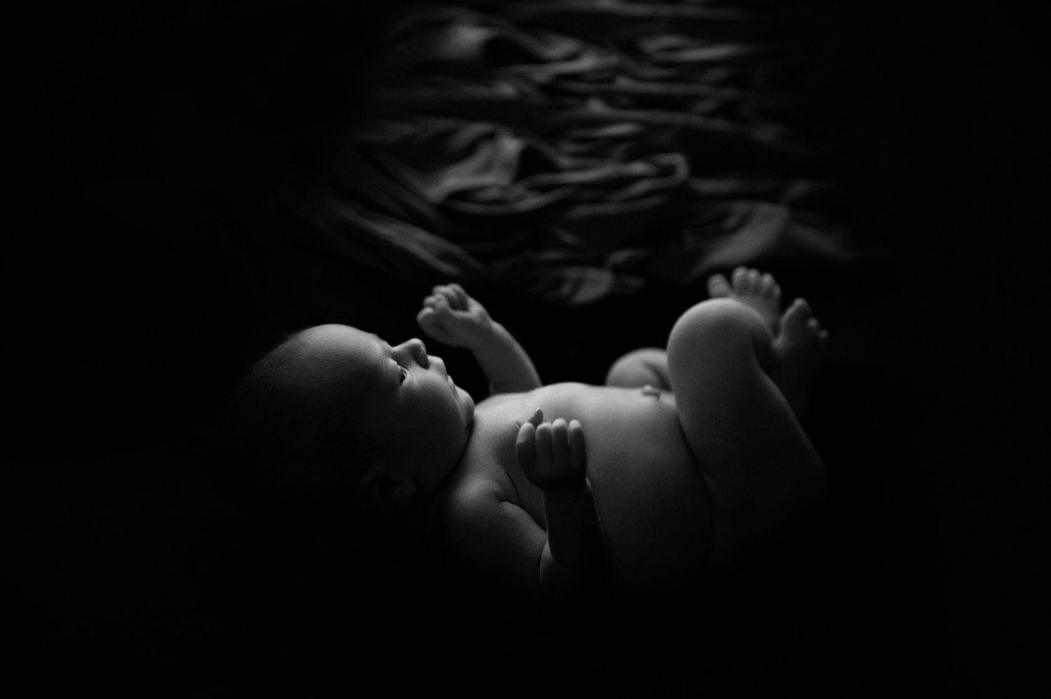 Мои достижения. Фотограф новорожденных, беременных и детей до года Татьяна Николаева В