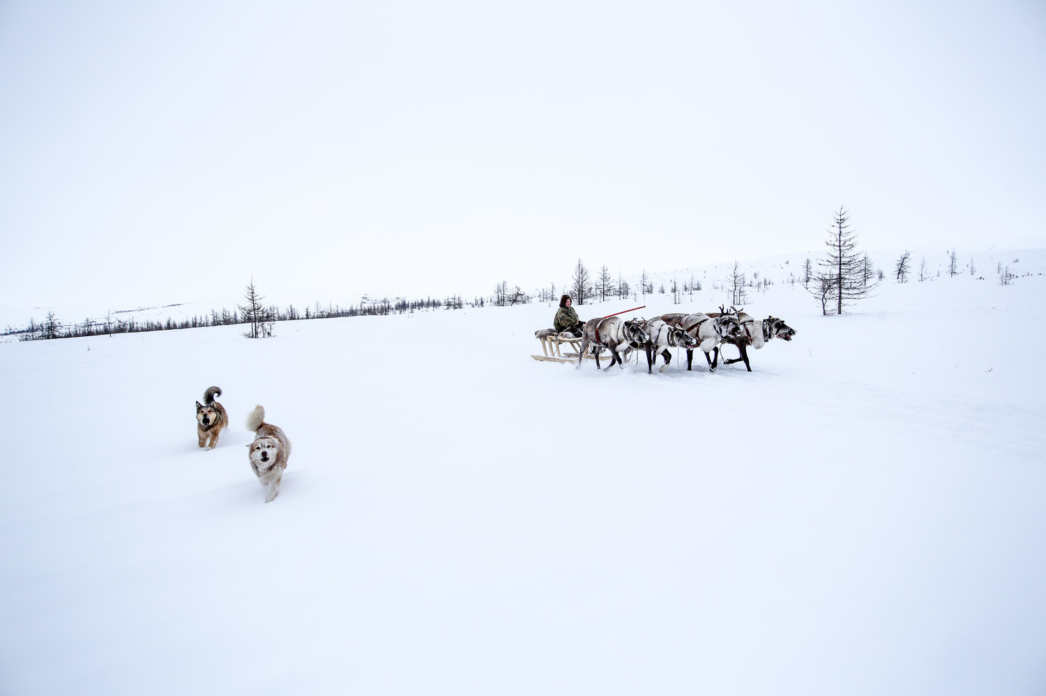 Эпопея Приполярного Урала. Yuri Ovchinnikov Photography, St. Petersburg, landscape photography