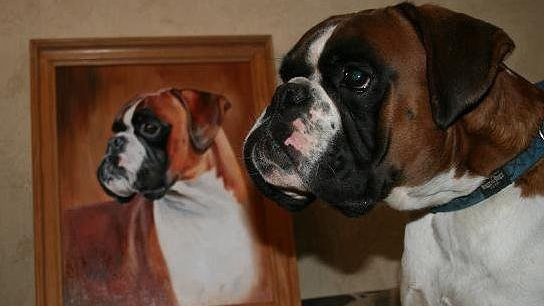 Художник-анималист в Нижнем Новгороде Надежда Шапошникова