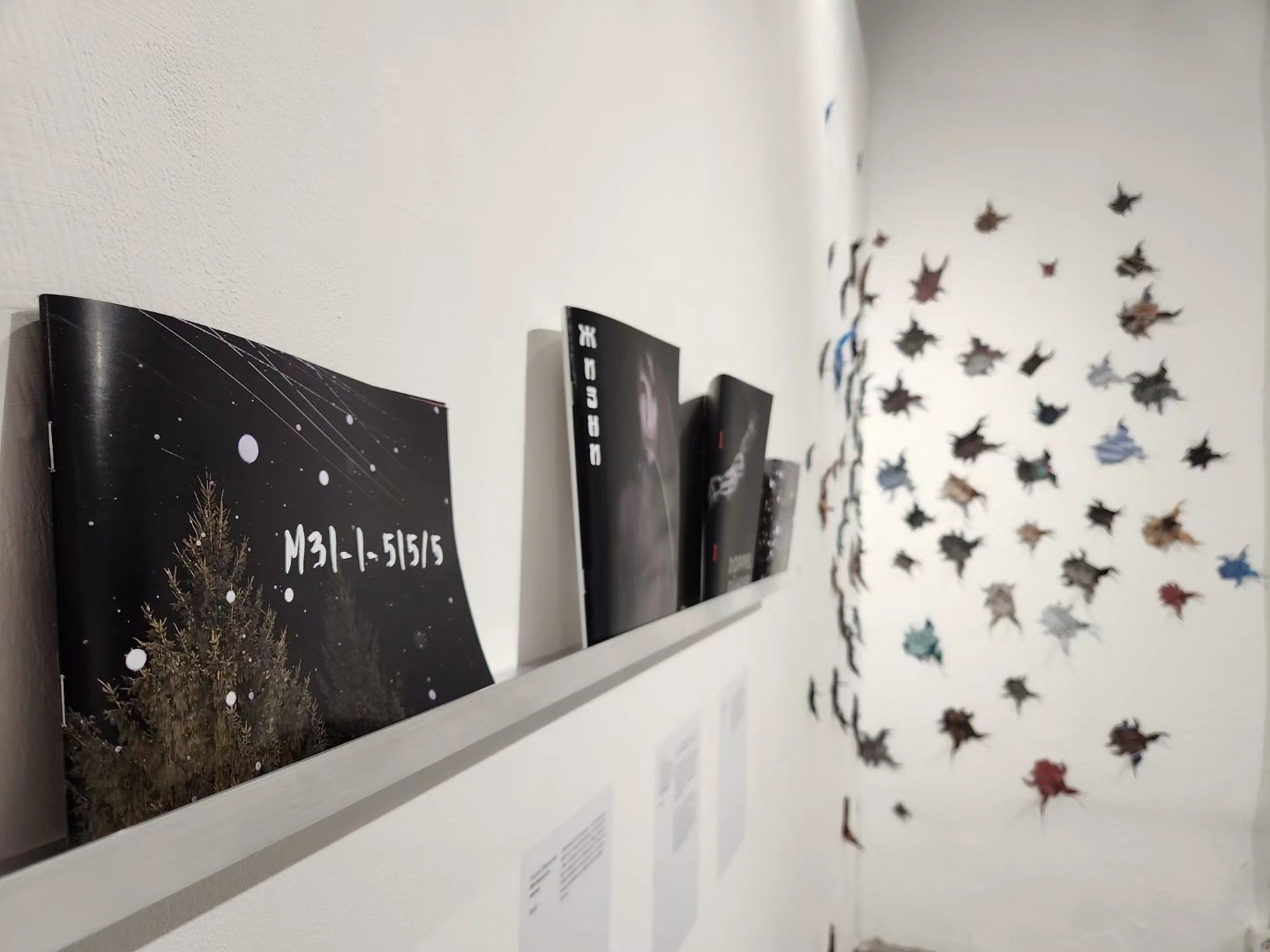 М31-1-515/5. Наталия Шульгина — визуальный художник, фотограф