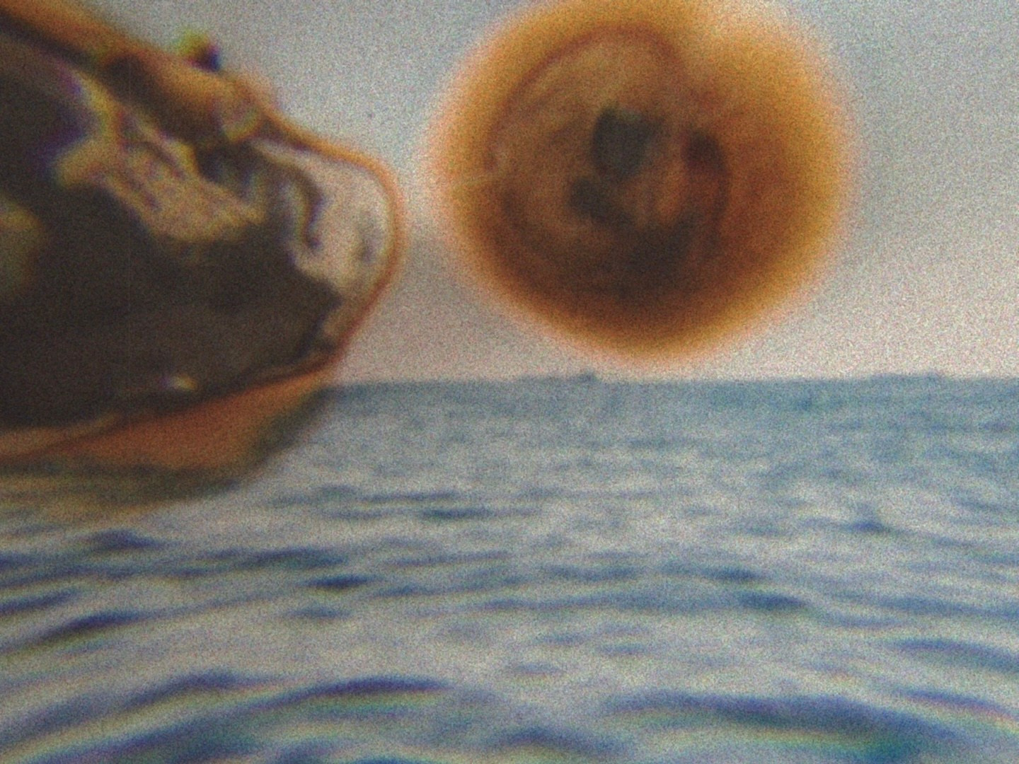 BUY ARTWORKS. Lysi Timofeeva