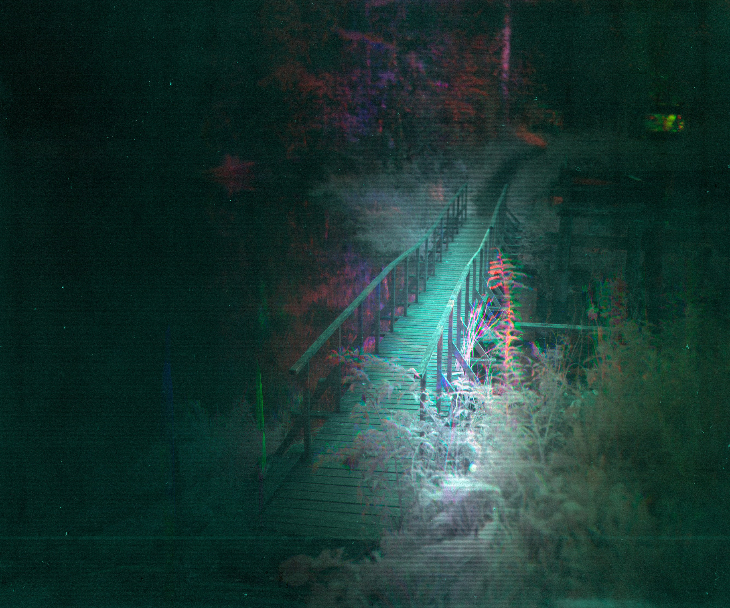 Мета-кони у Калинова моста. Роман Ходырев — эзотериолог, художник, фотограф и музыкант. Санкт-Петербург, Рига