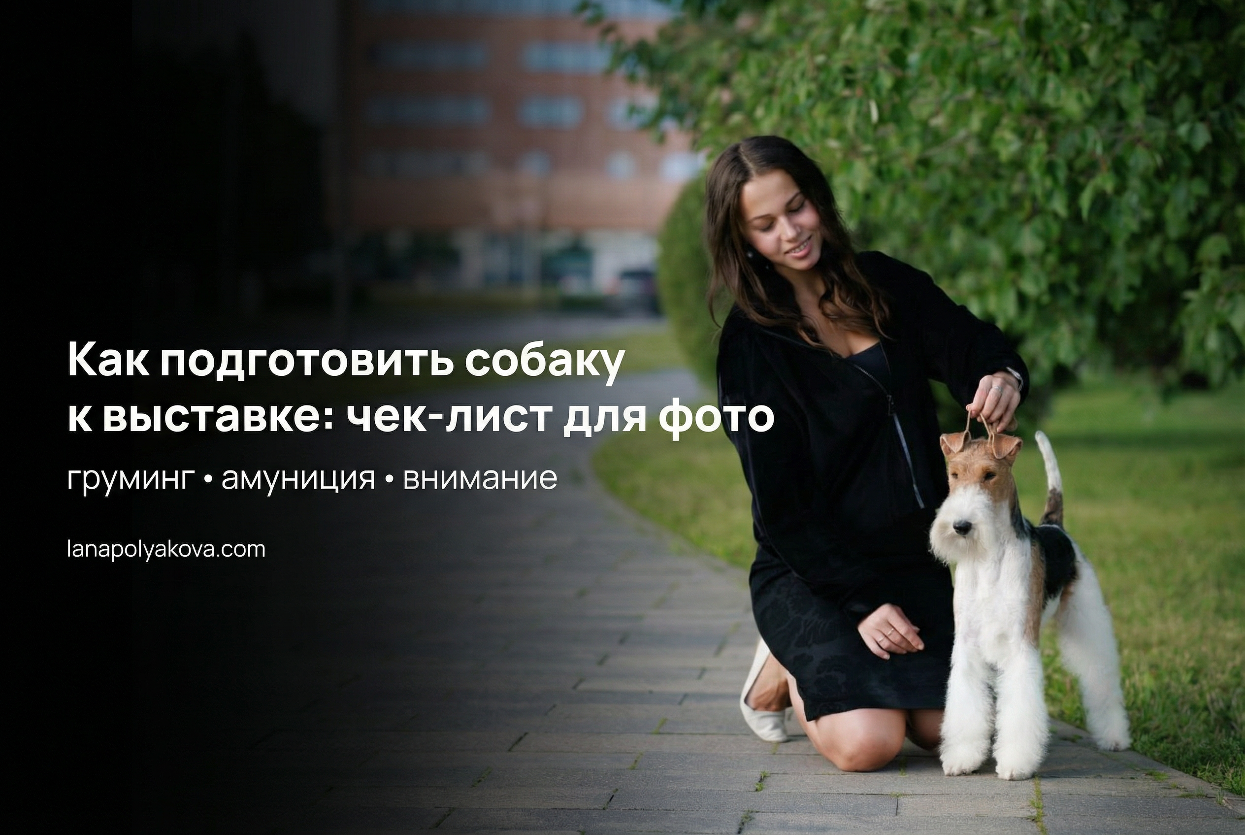 Как подготовить собаку к выставке: чек-лист для фото. ФОТОГРАФ-АНИМАЛИСТ l LANA POLYAKOVA