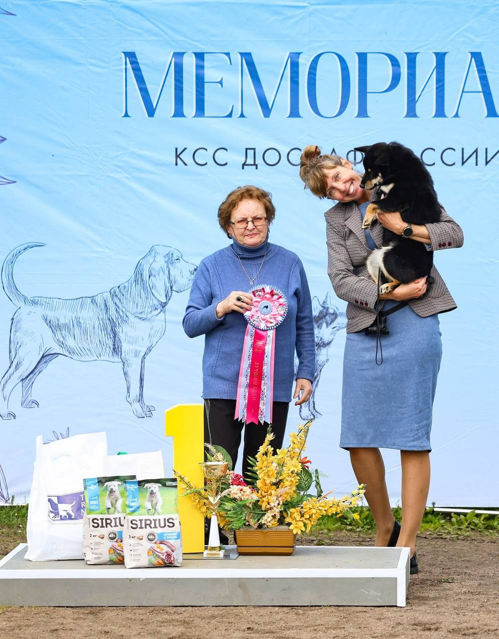 Выставка ранга САС ЧРКФ Санкт-Петербург. Питомник сиба-ину «Sharm Grais» в Краснодаре
