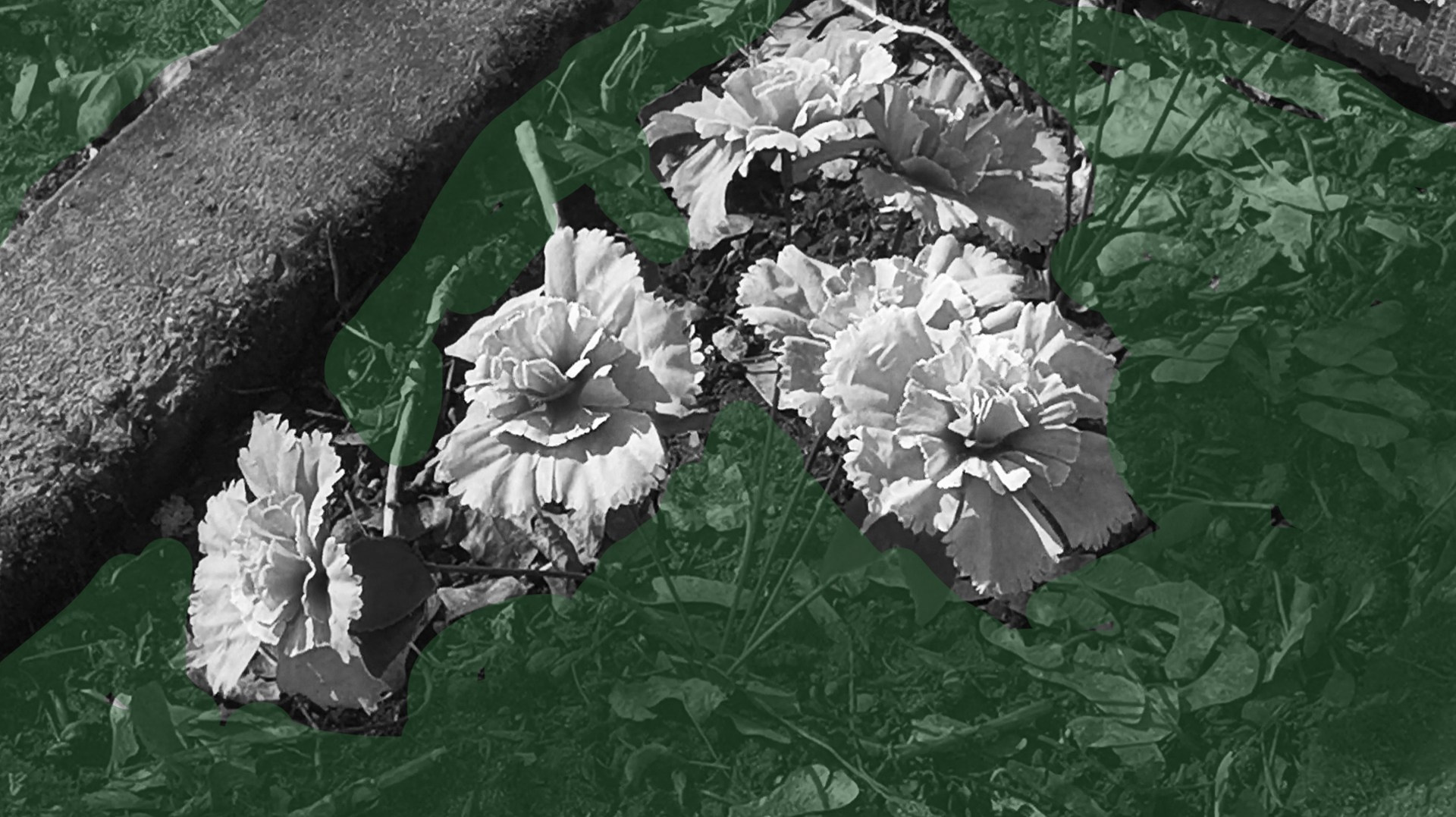 Без названия, 2022. Каати Пуолакайнен