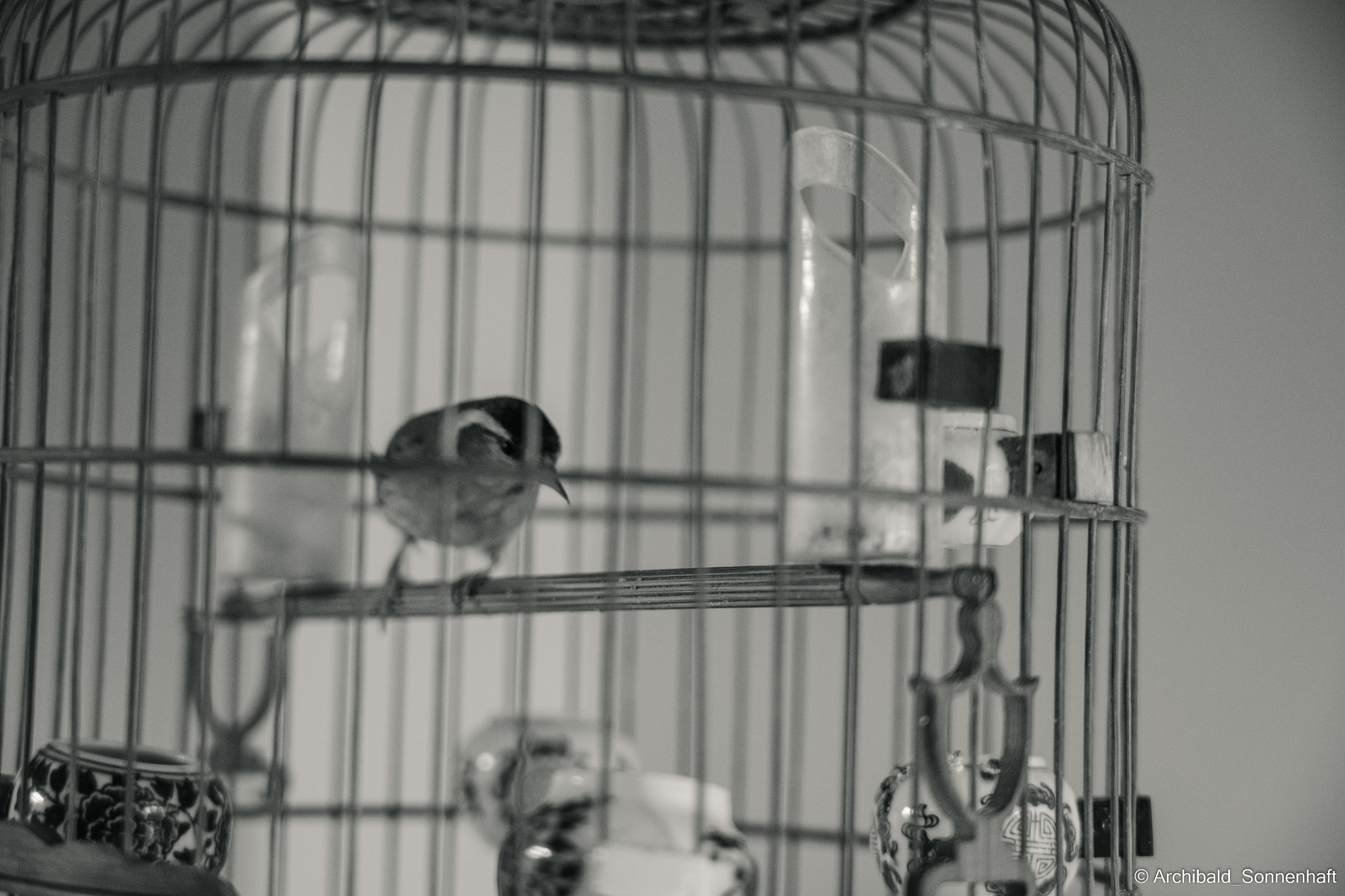 Master class on engraving on glass. Photographer in Guangzhou, China. Archibald Sonnenhaft