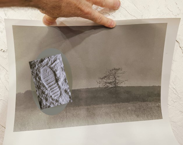 Цифровой след