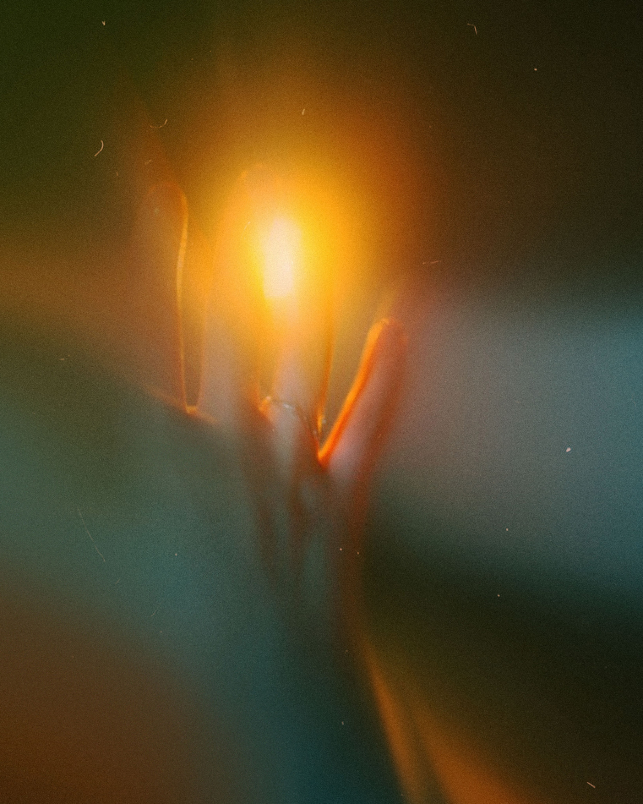 [⠀⠀УСЛУГИ⠀⠀]. MARIA SOKOLOVA