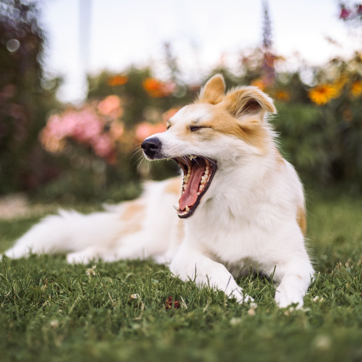Фотограф в Москве Анастасия Бабкина