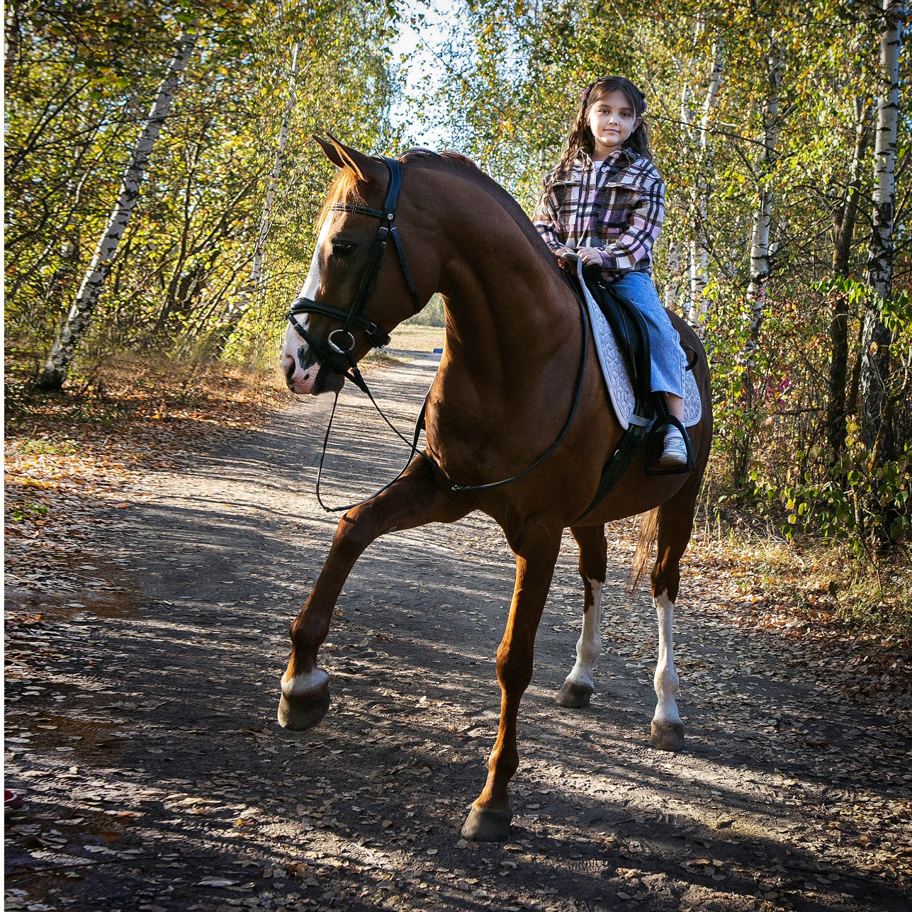 Услуги и цены. КониФото