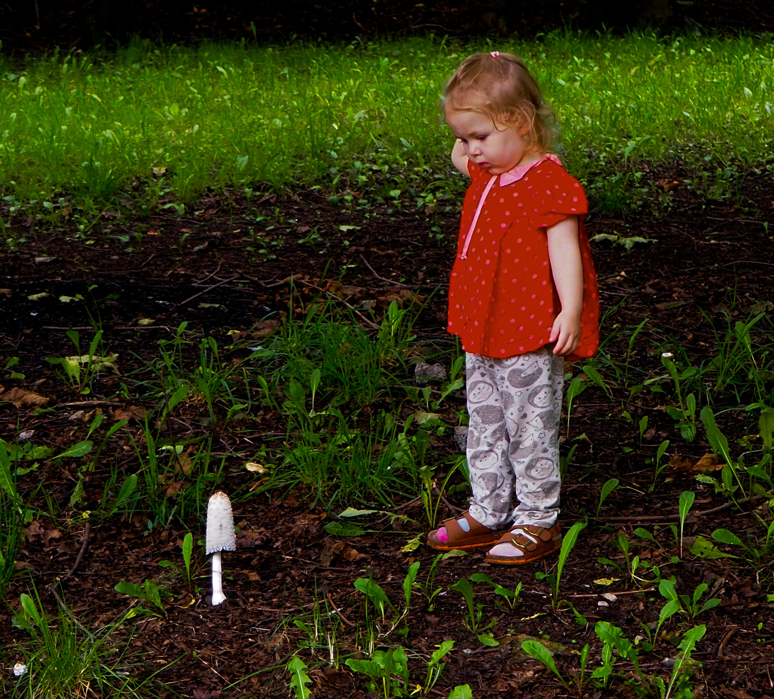 Услуги. СПБНЛО