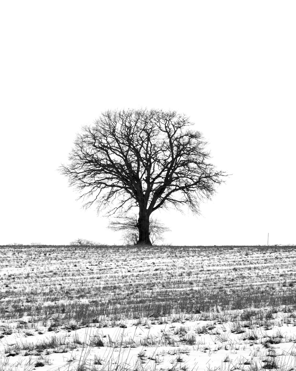 FAQ. ФОТОГРАФ И ВИДЕОГРАФ в Крыму Андрей Кулак