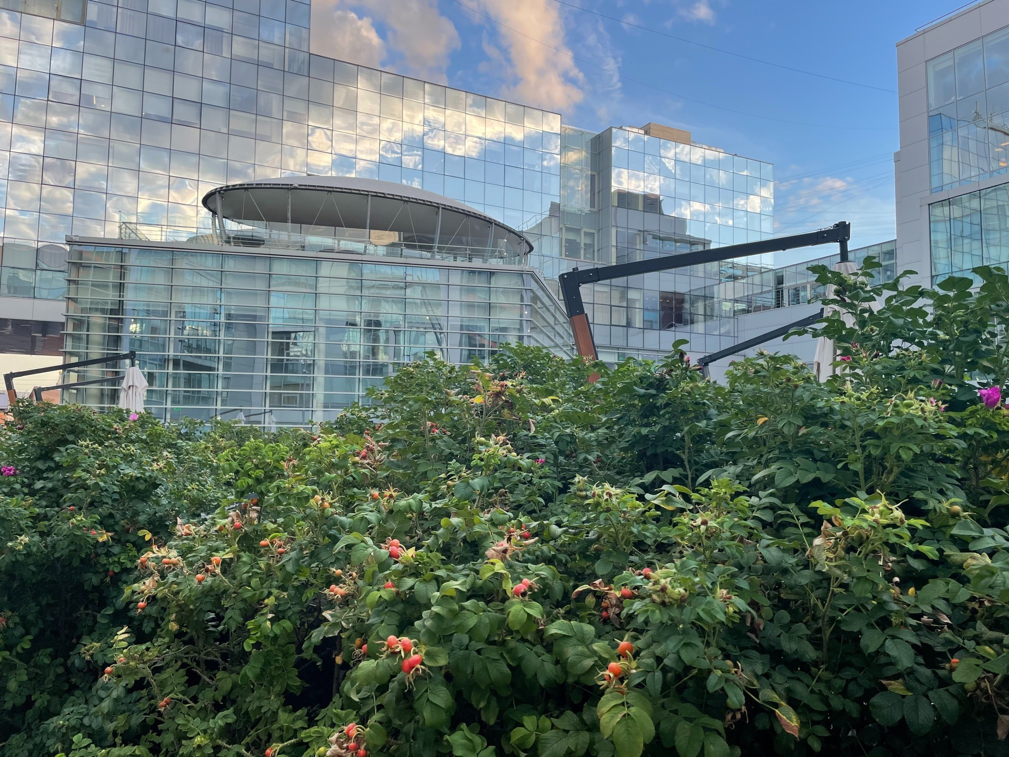 Штаб-квартира Яндекса: беспилотные авто, балконы и шахматы. Проект «Фотокладовка»: блог уличной фотографии в формате street photo