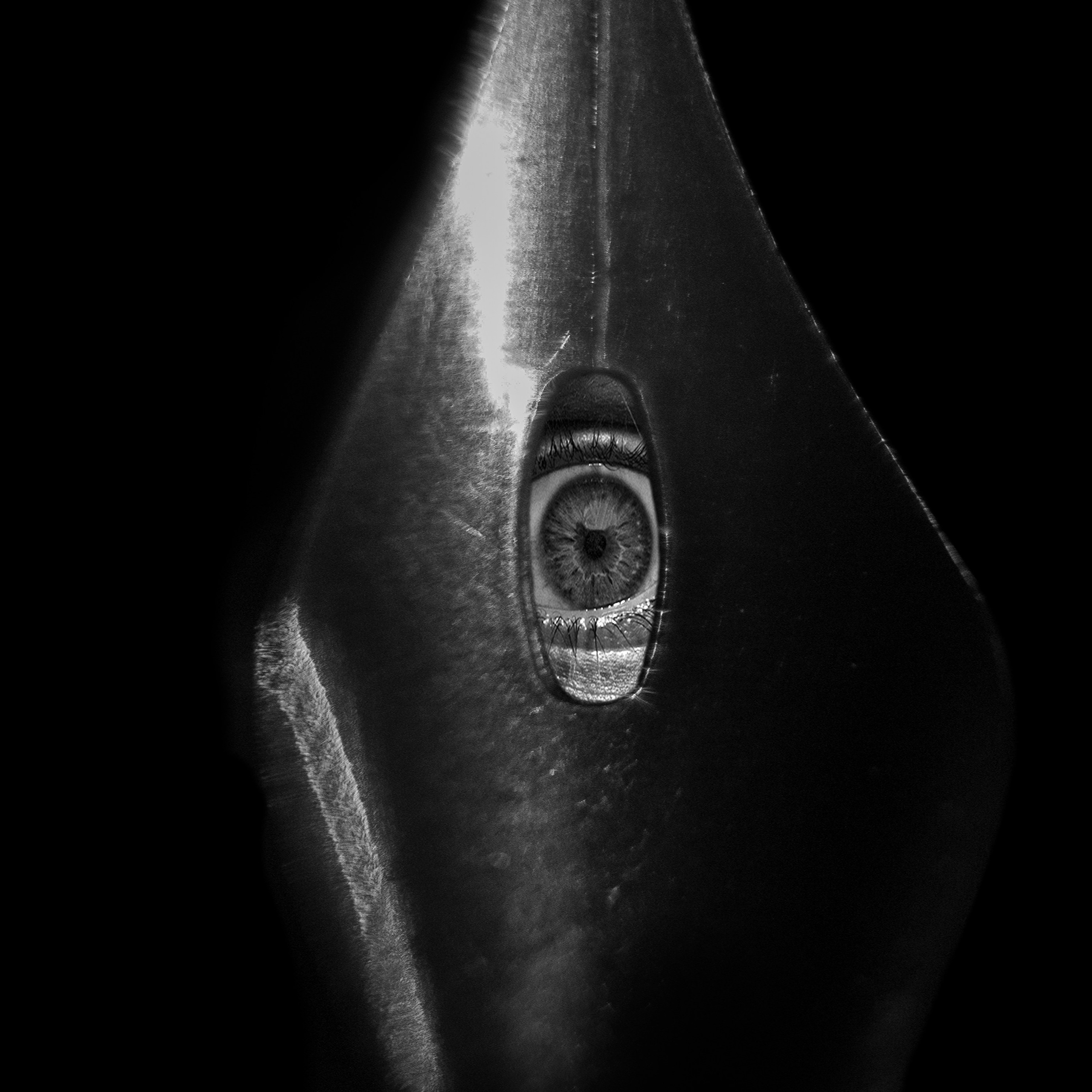 Контакты. Георгий Тришаков