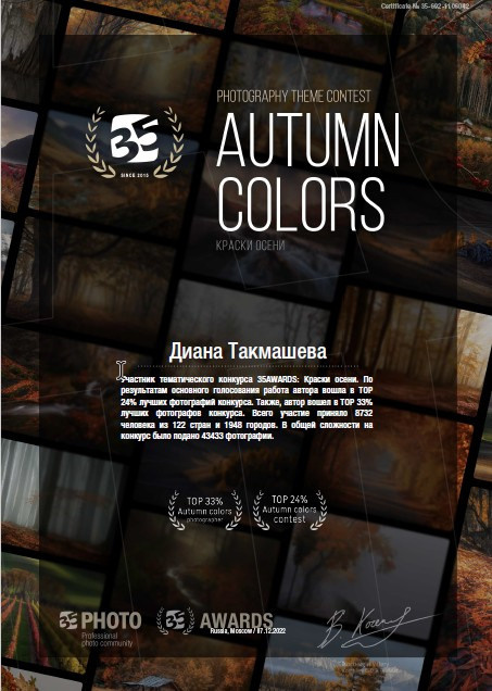 Дипломы/достижения. Женский, семейный и детский фотограф в Тюмени Диана Осипова