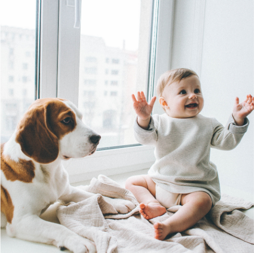 Свадебный и семейный видеограф Чернышова Ольга + 7 961 525 45 06