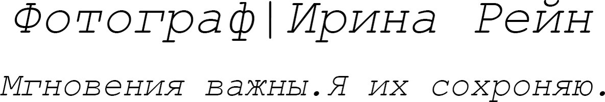 iriinarein.wfolio.pro