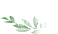 nastiakitaeva.ru