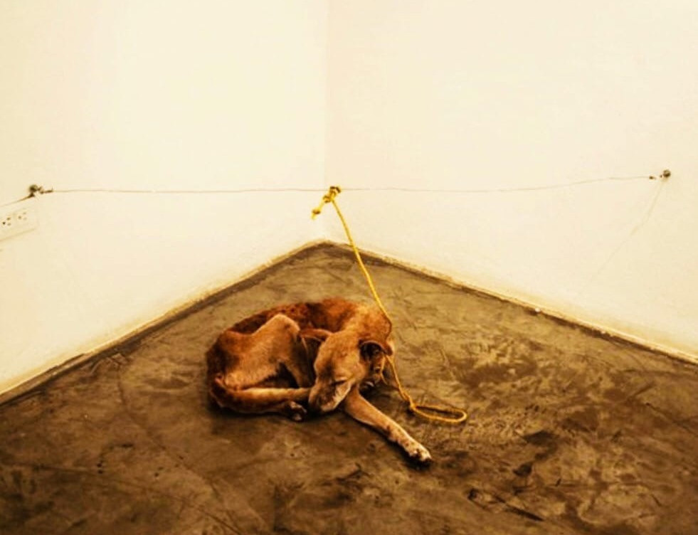 Что такое искусство. Фотограф в жанре Ню. Татьяна Хасанович. Красноярск