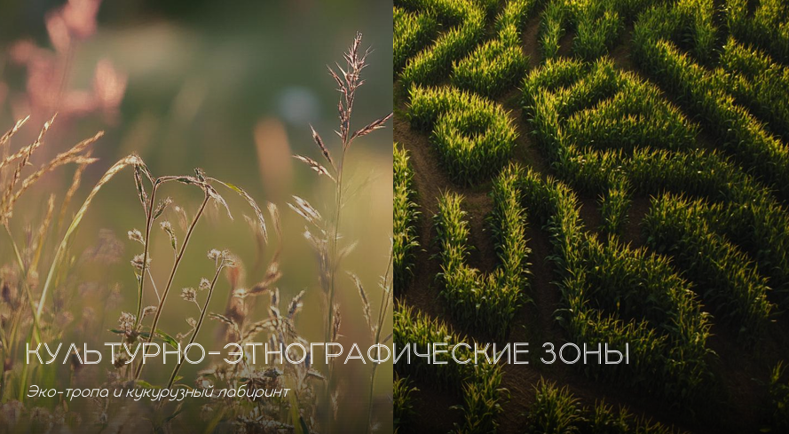 Лавандовая долина