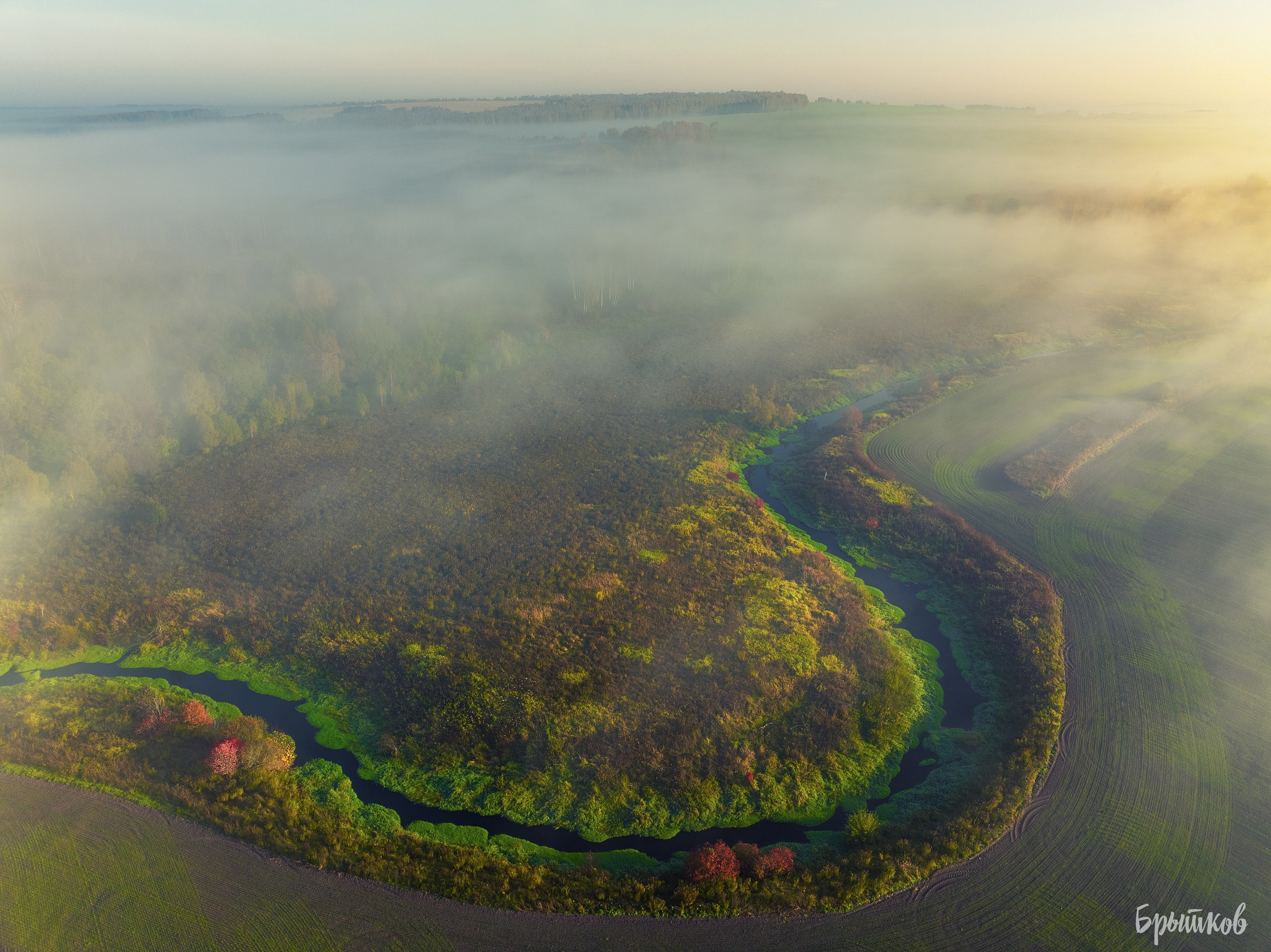 Бежин Луг. Николай Брытков — фотограф в Туле
