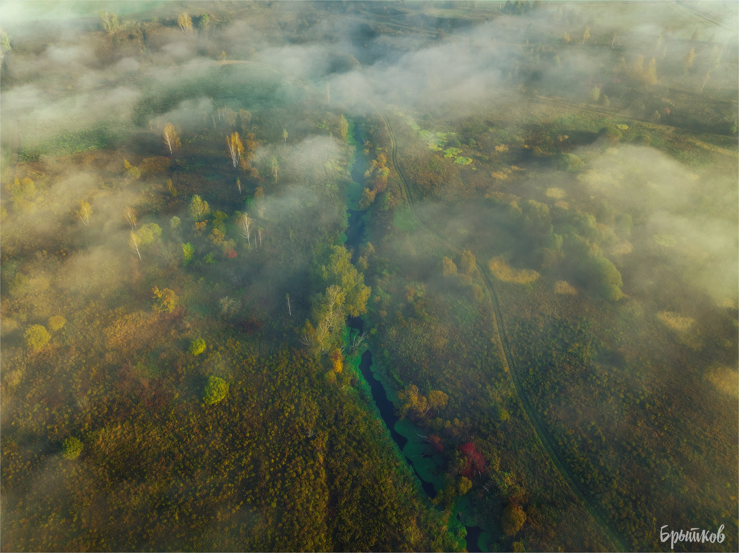 Бежин Луг. Николай Брытков — фотограф в Туле