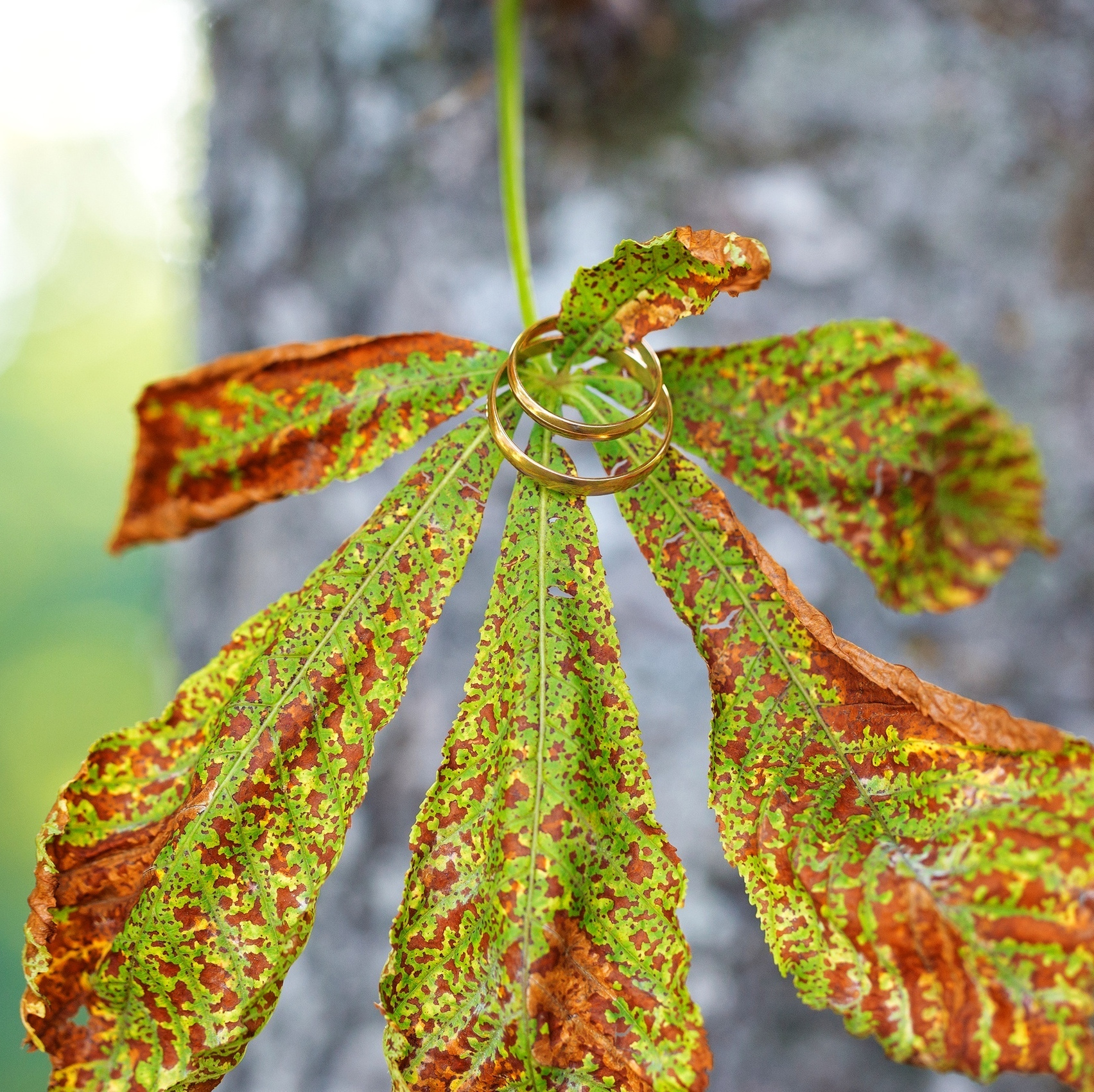 Услуги фотографа в Белгороде, стоимость свадебной фотосессии. Свадебный фотограф в Белгороде