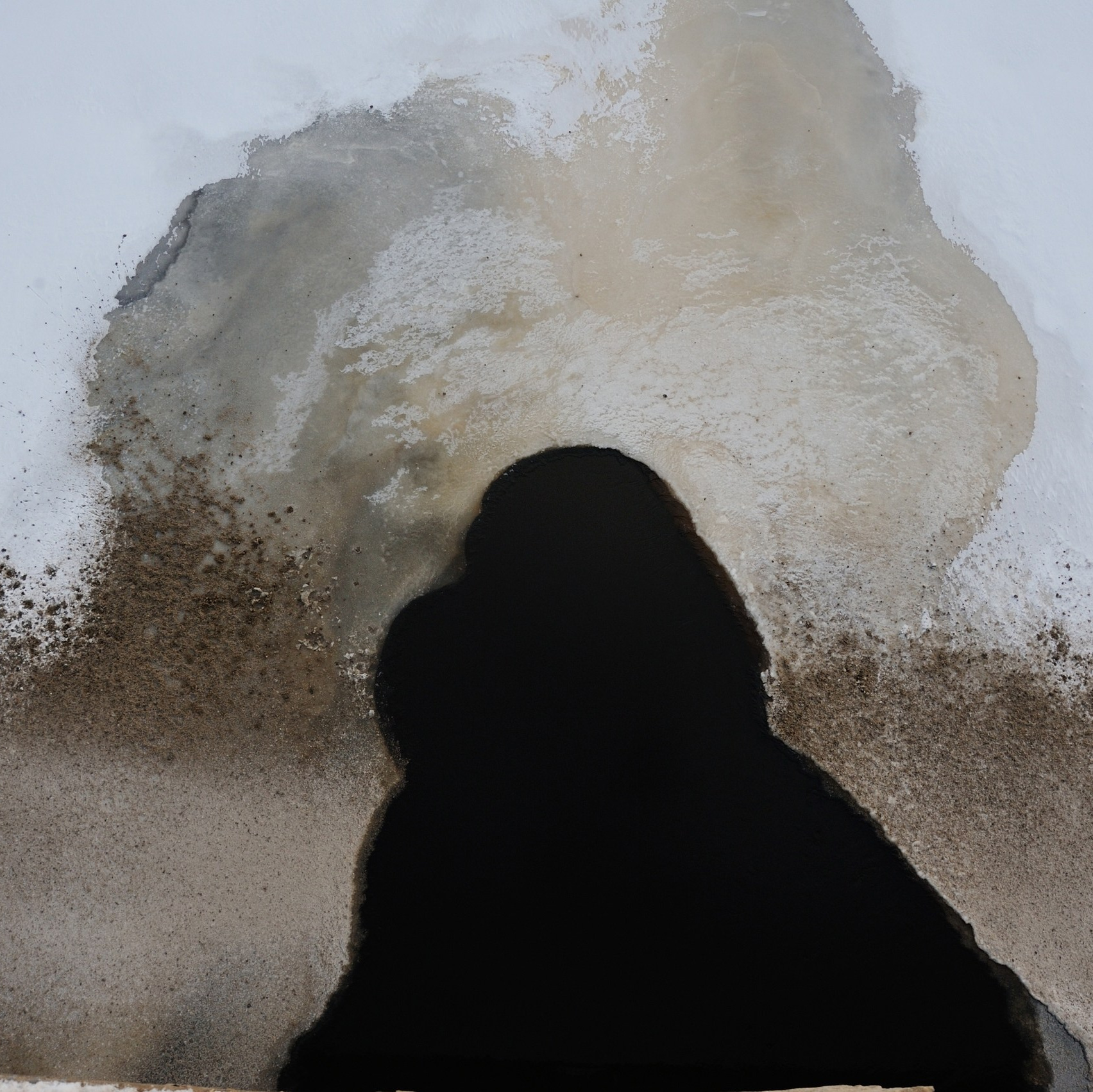 Серии и Проекты. Катерина Михеева