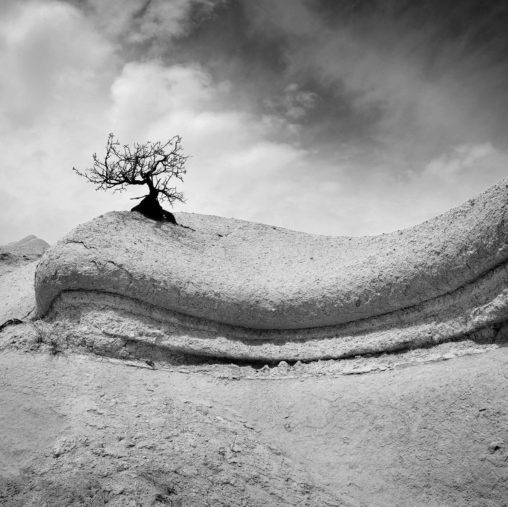 Серии и Проекты. Катерина Михеева