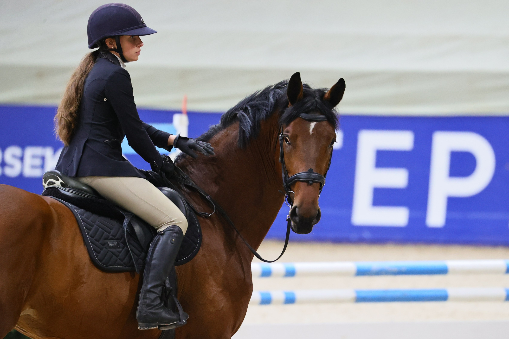Купить фотографии с турниров. KatymartArt — Equine photography