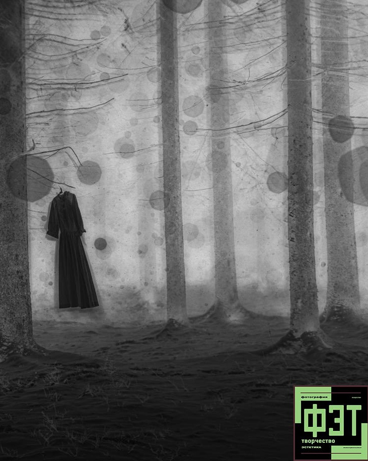 Альбом 18.01.26 проект ФЭТ