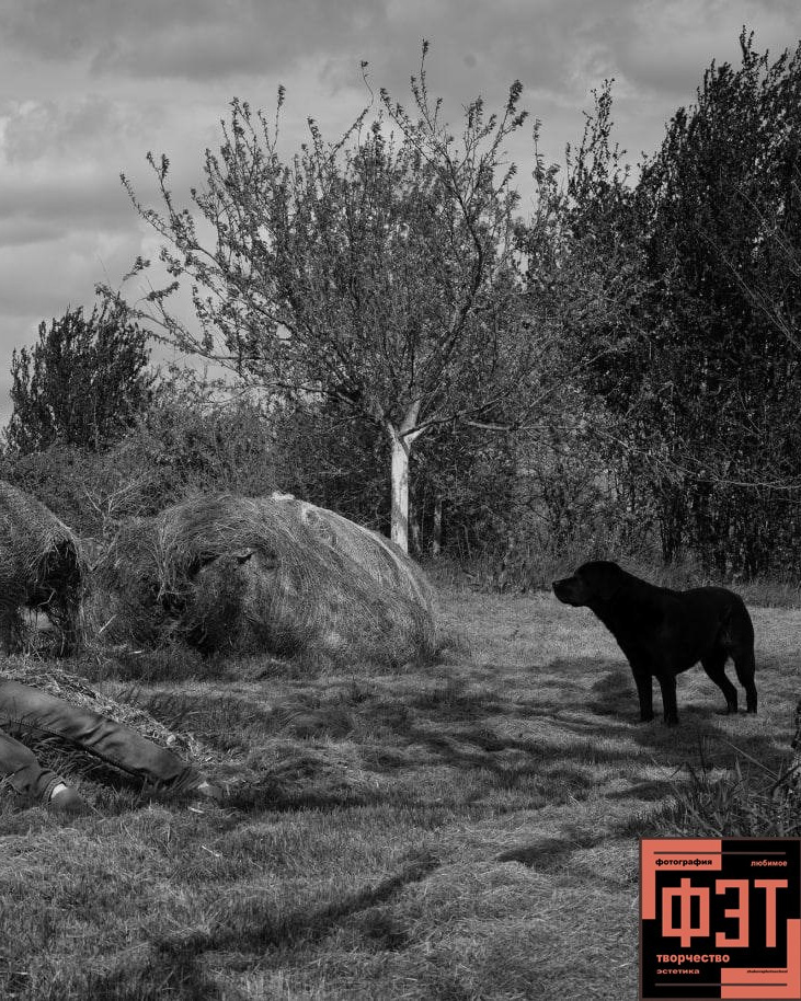 Альбом 18.01.26 проект ФЭТ