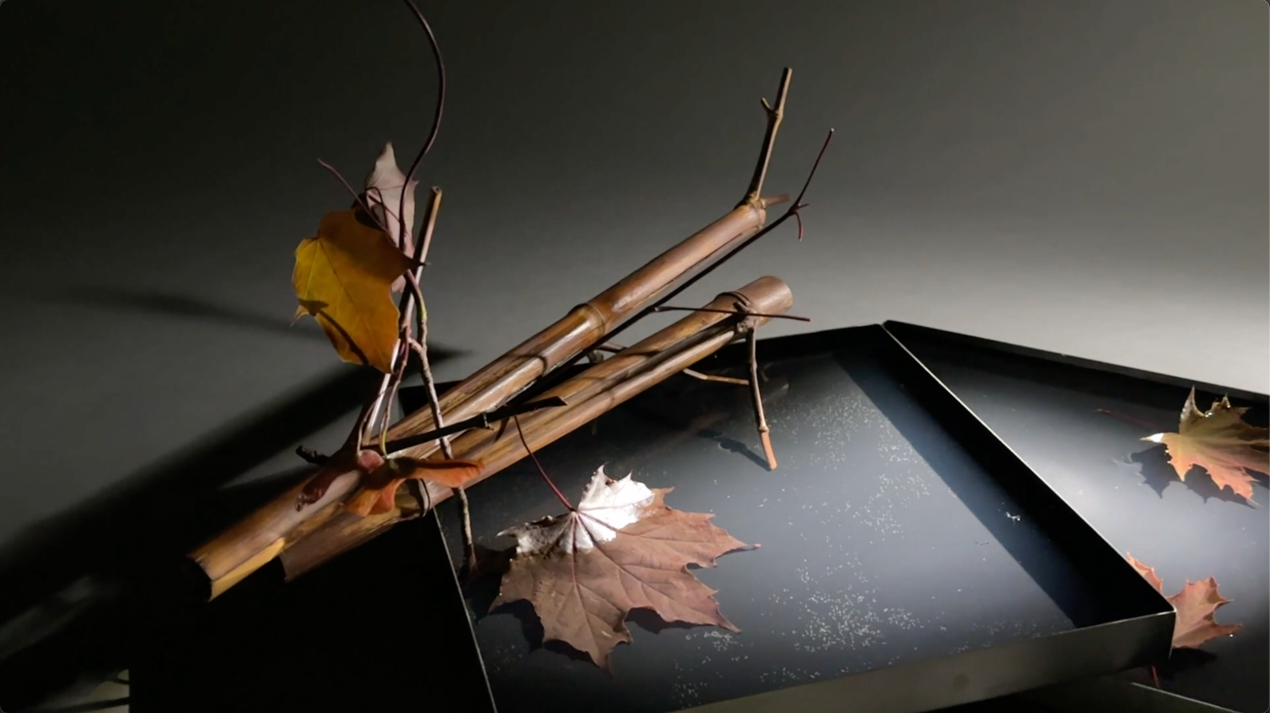 Расценки на видеосъёмку. Попов.фото — Предметная фотостудия в Новой Москве