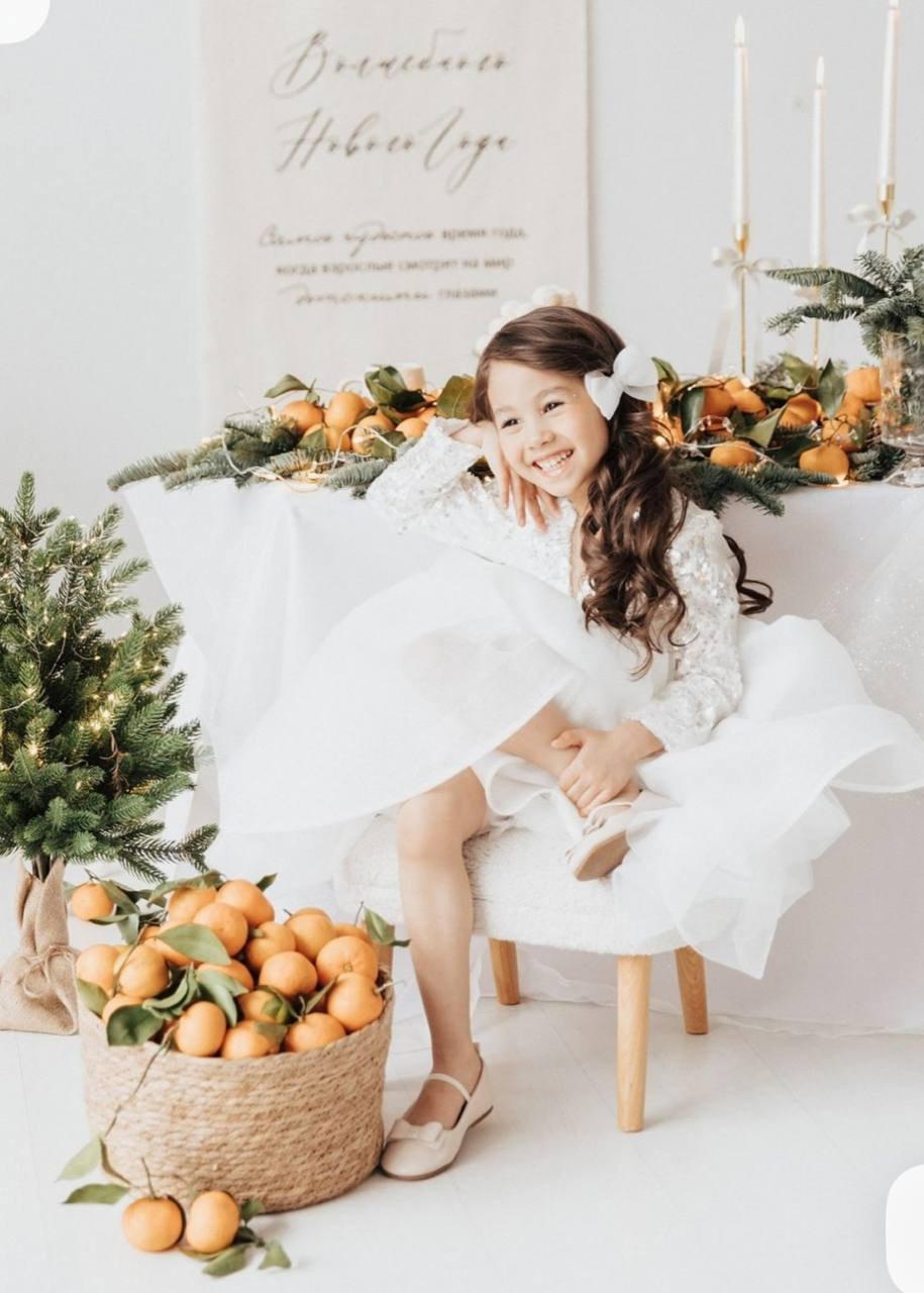 Новый год 25/26!. Фотостудия LIGHT в Люберцах