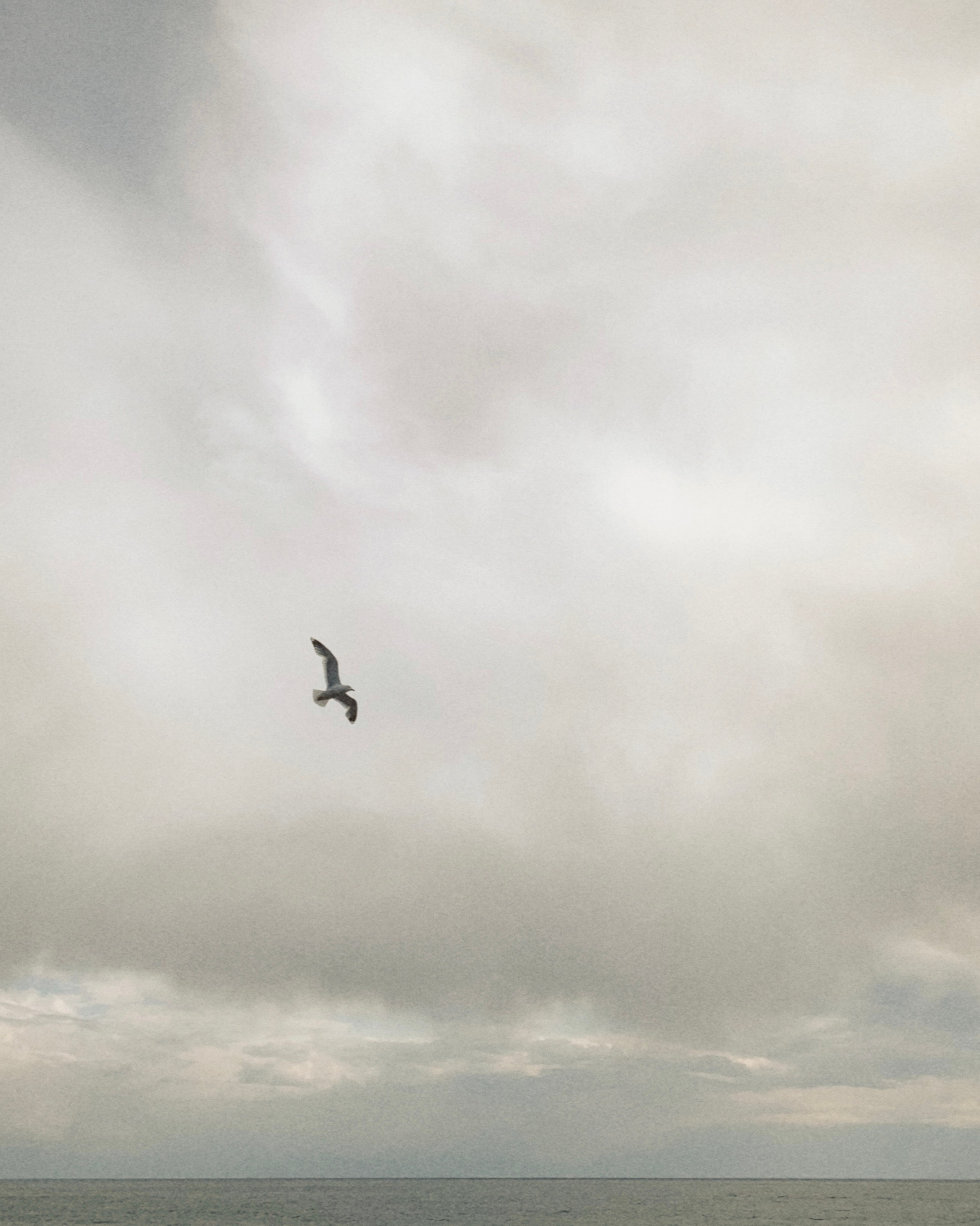 Фото и видео контент