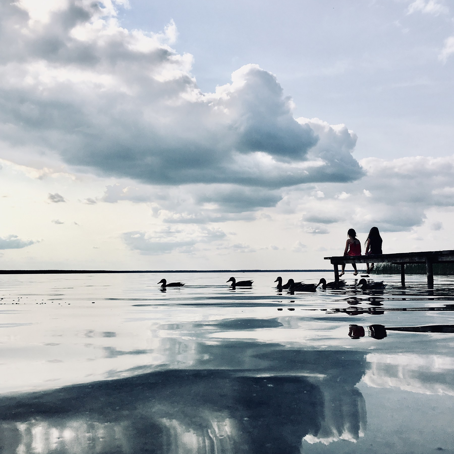 אמנות. צלם ואמן ילדים ומשפחה