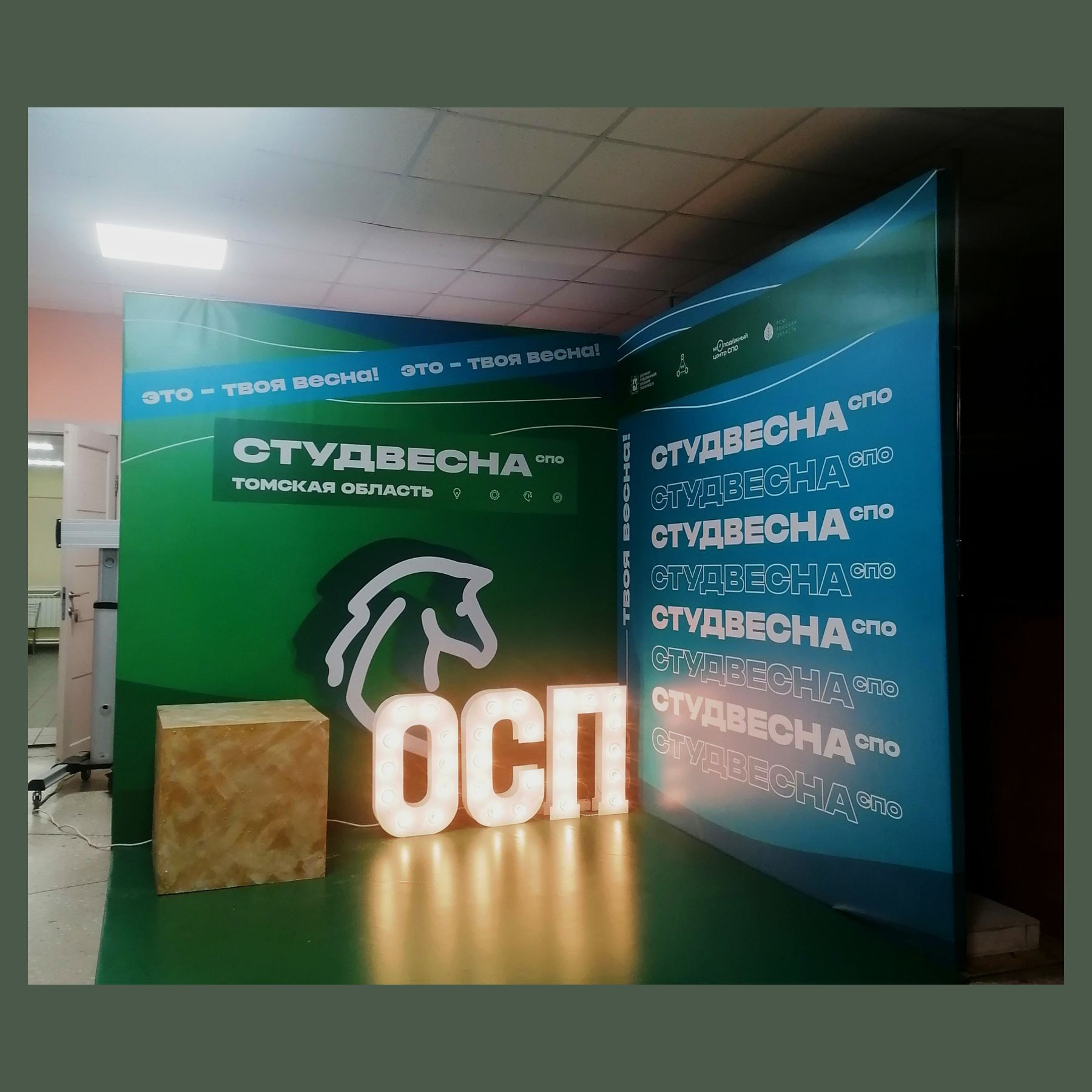 Пресс Бренд волл. Студия праздничного декора