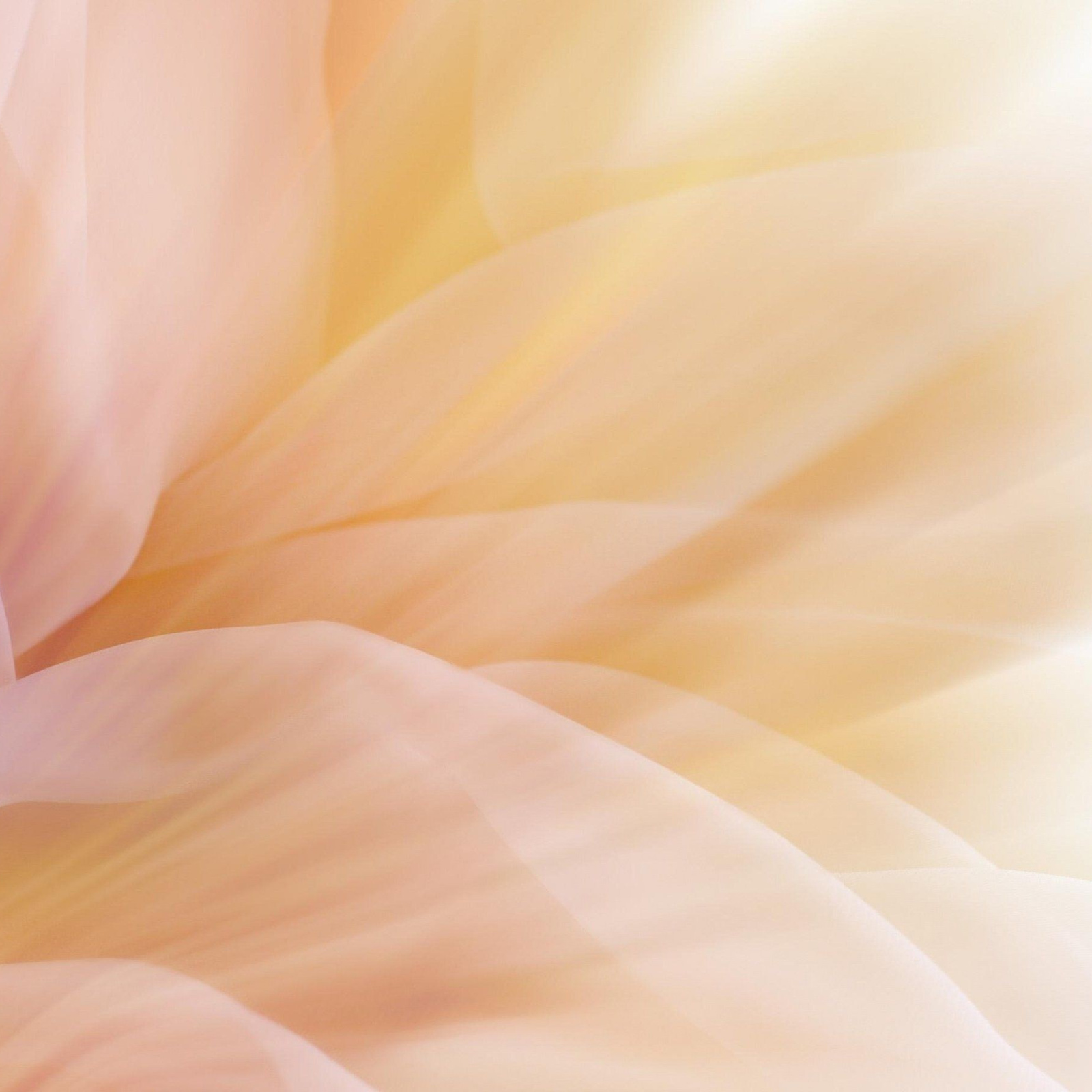 Family. Фотограф в Москве Шалышко Ангелина