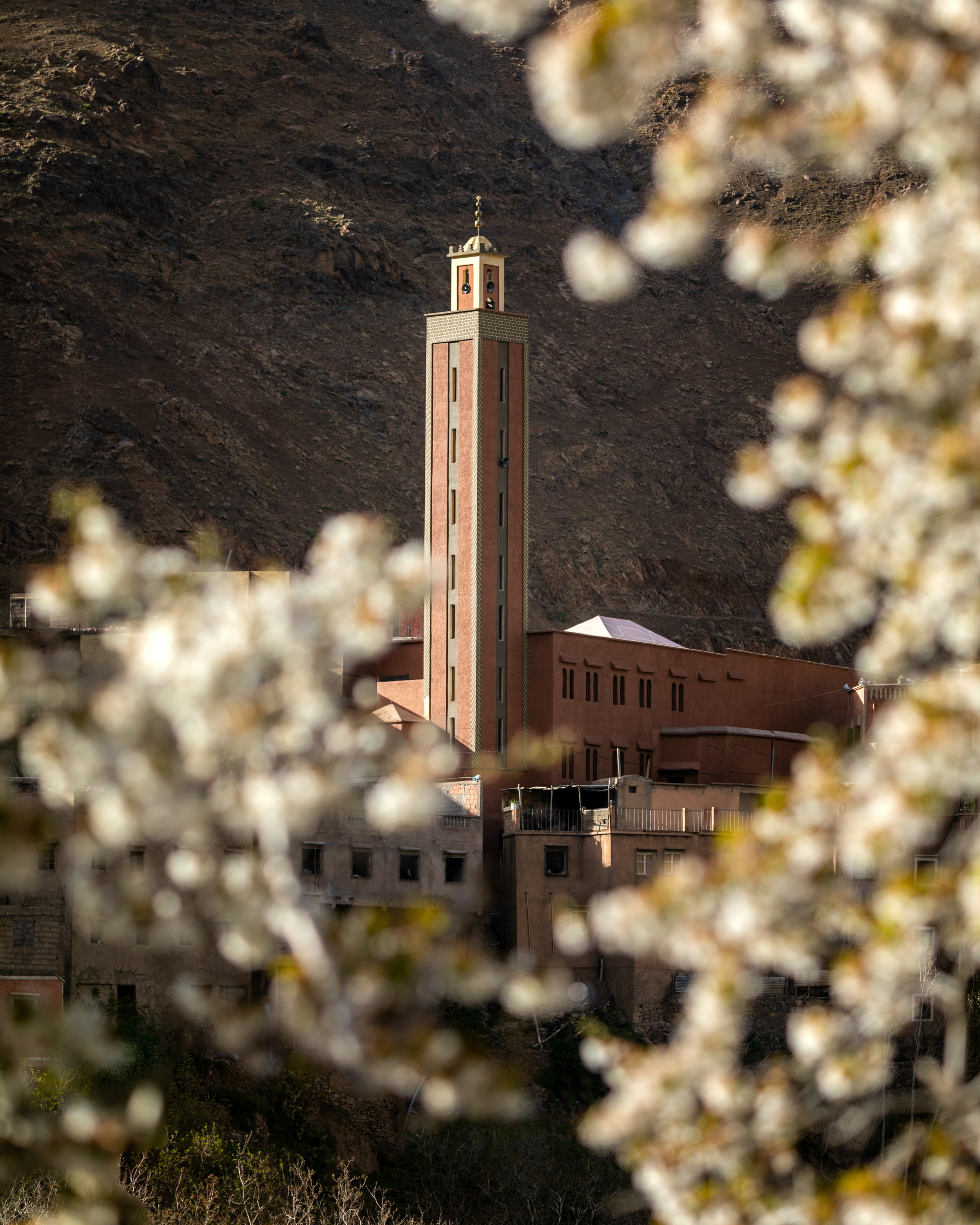 Услуги. Тревел-фотограф Олег Гуров