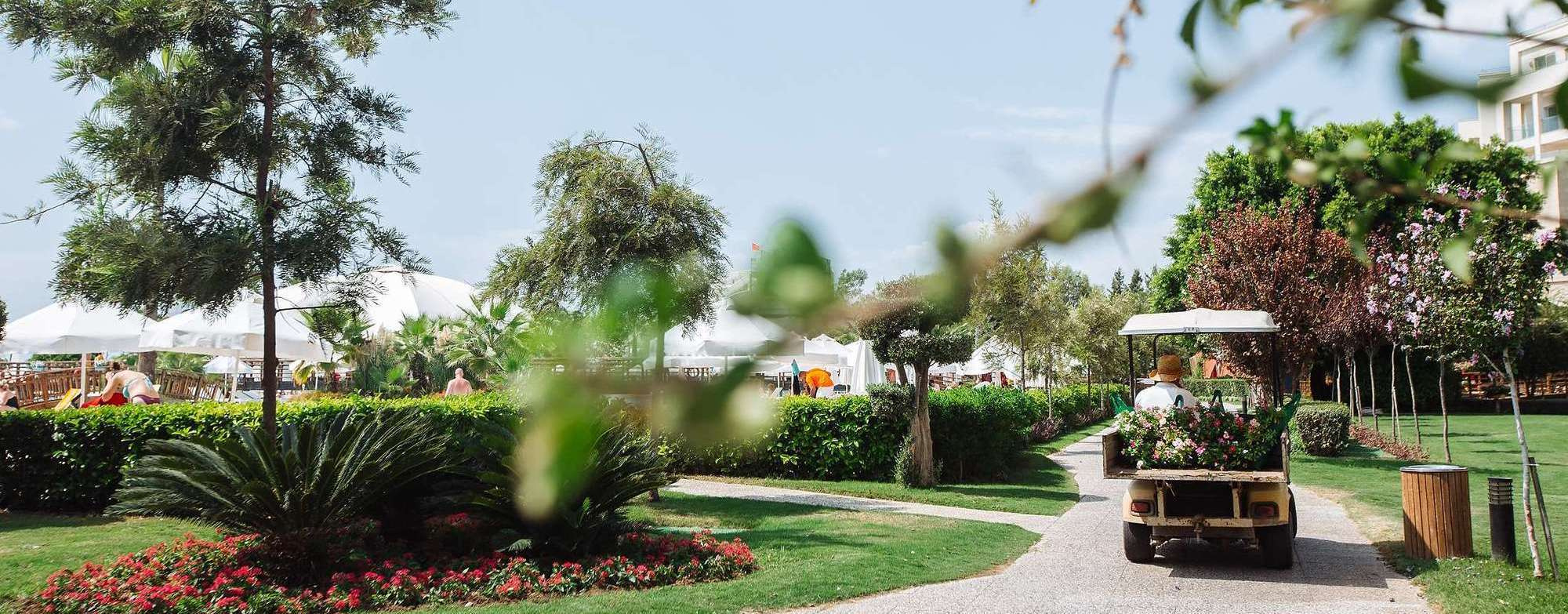 Как организовать свадьбу для двоих | Советы и идеи. Свадебный фотограф в Москве | Антон Матвеев