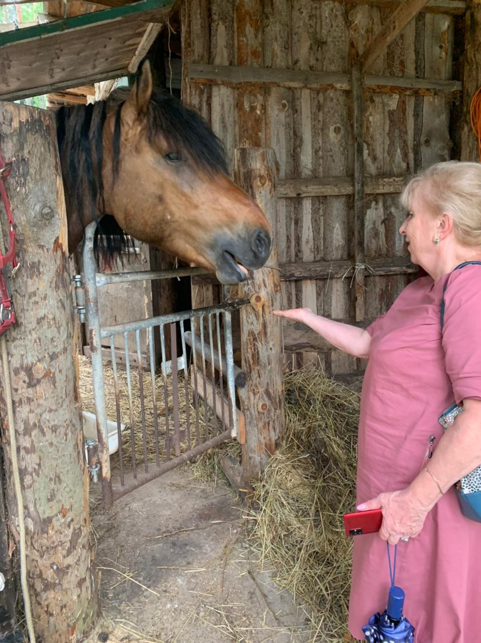 Сочинение фонда «МАМА» на тему «Как я провёл лето?». Фонд Мама