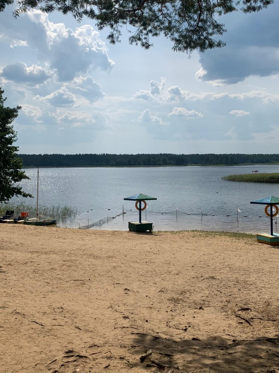 Сочинение фонда «МАМА» на тему «Как я провёл лето?». Фонд Мама