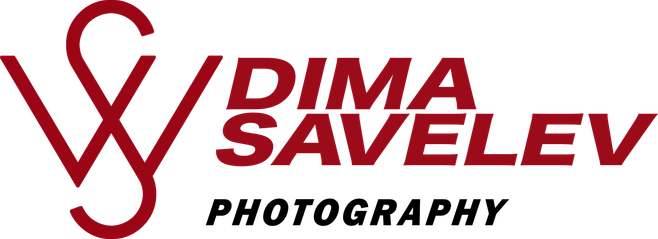 dimasavelev.ru