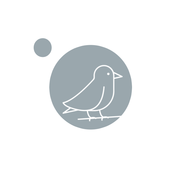 Контакты. Первая фотостудия новорожденных в г. Кемерово