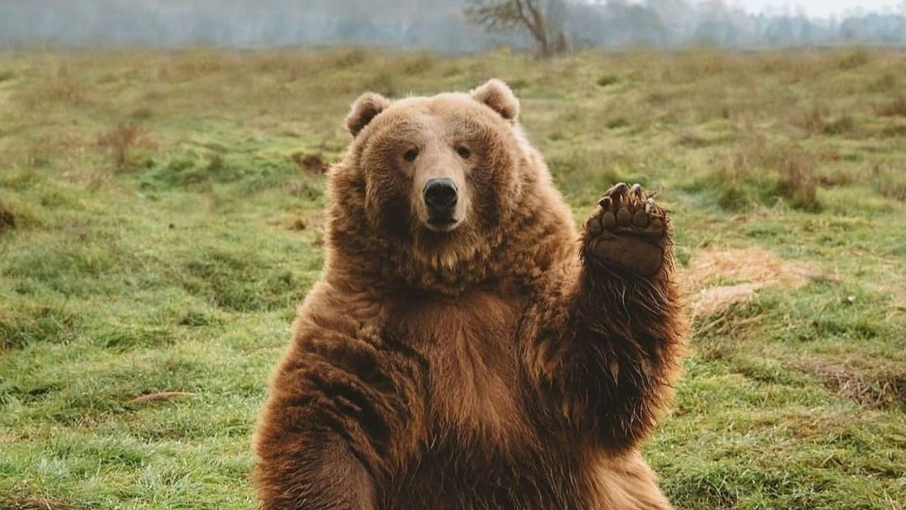 Камчатка с комфортом —  Cезон 2026